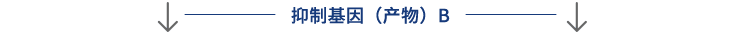 聖域