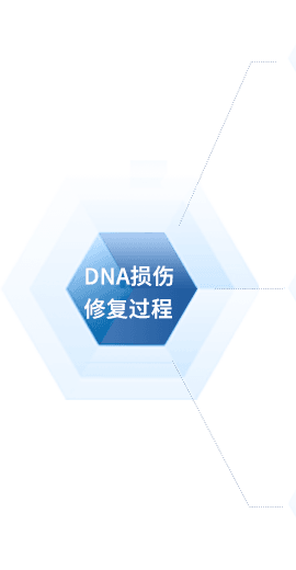 聖域